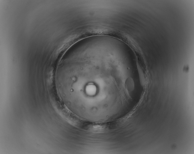 X0000111830163200907301328
