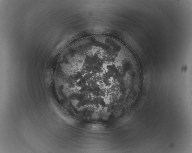 X0000111830165200907301328