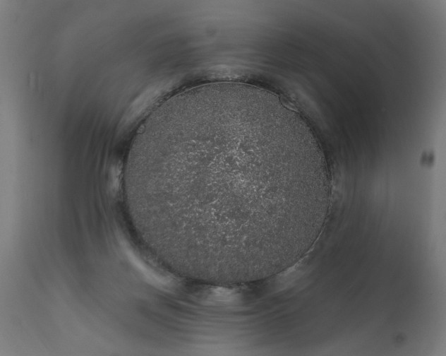 X0000111830166200907301328
