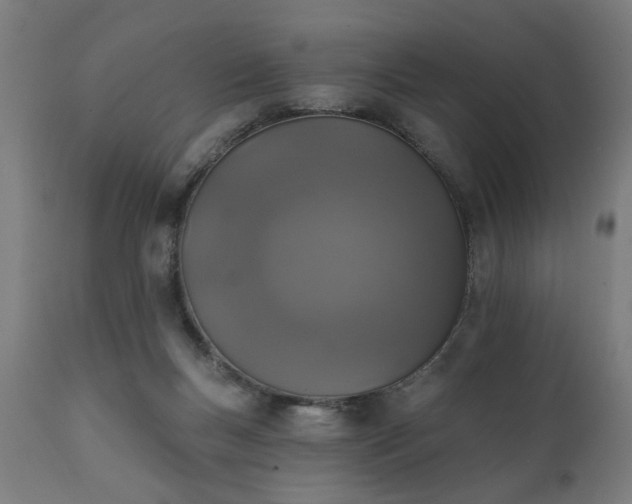 X0000111830167200907301328