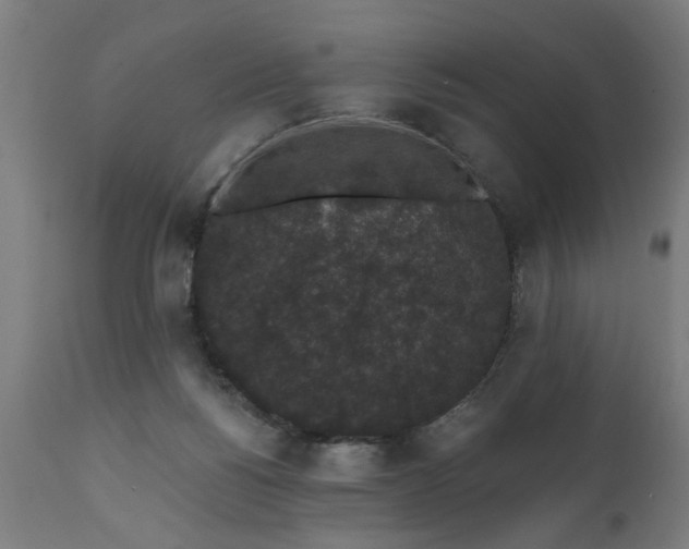 X0000111830168200907301328