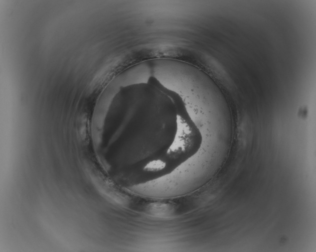 X0000111830169200907301328