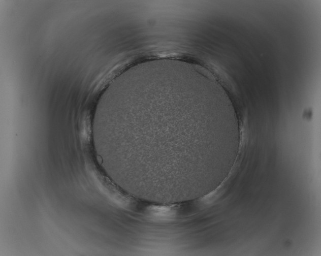 X0000111830170200907301328
