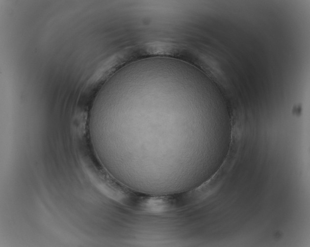 X0000111830171200907301328