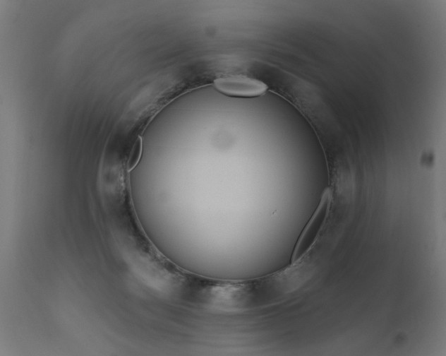 X0000111830172200907301328