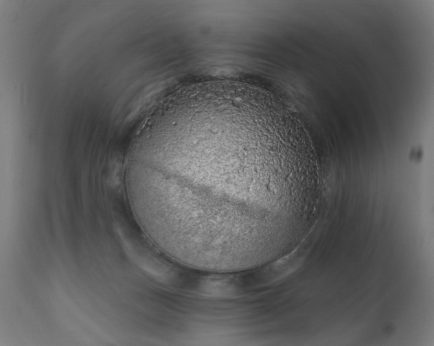 X0000111830175200907301328