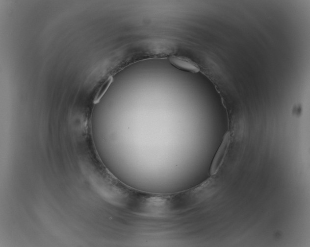 X0000111830176200907301328