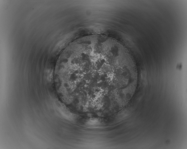 X0000111830177200907301328