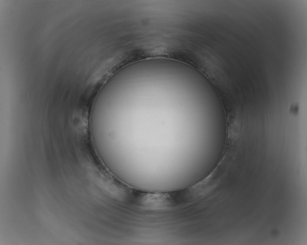X0000111830179200907301329
