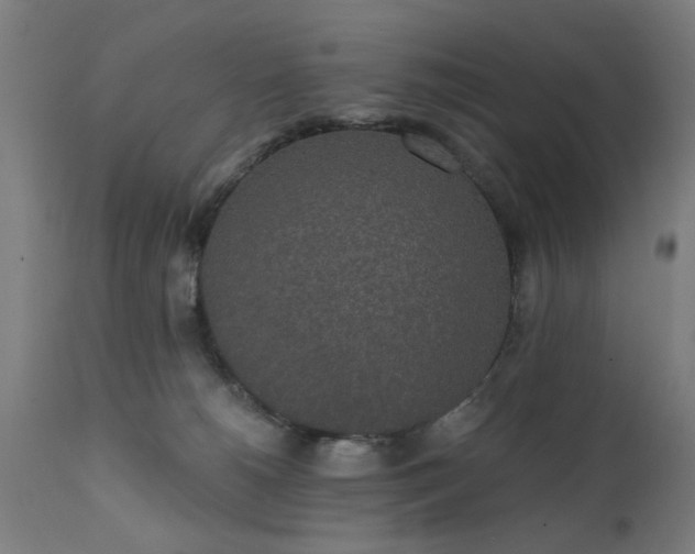 X0000111830180200907301329