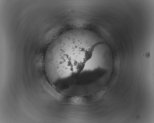 X0000111830181200907301329