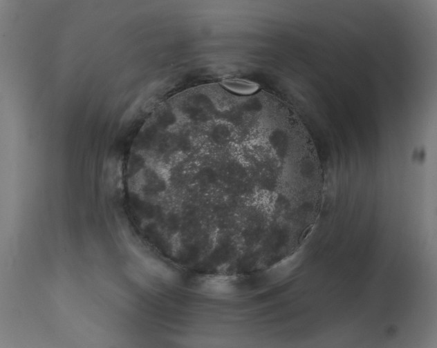 X0000111830182200907301329