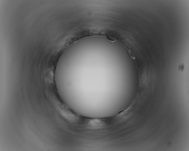 X0000111830183200907301329