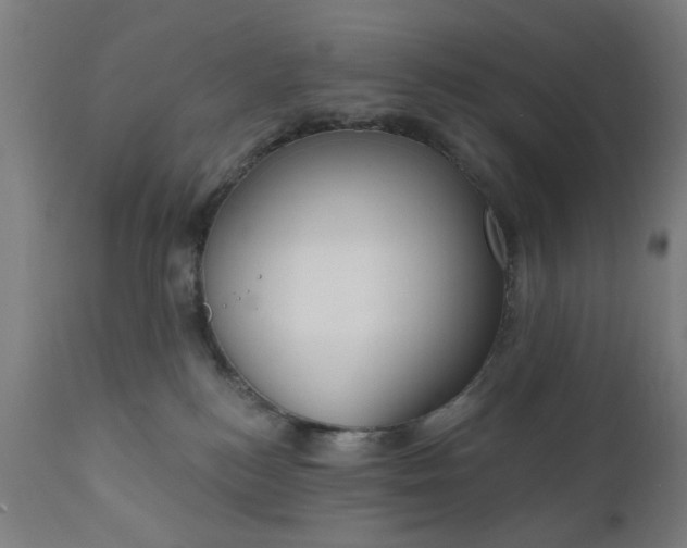 X0000111830184200907301329
