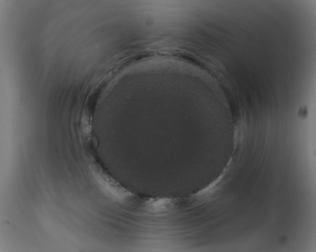 X0000111830186200907301329