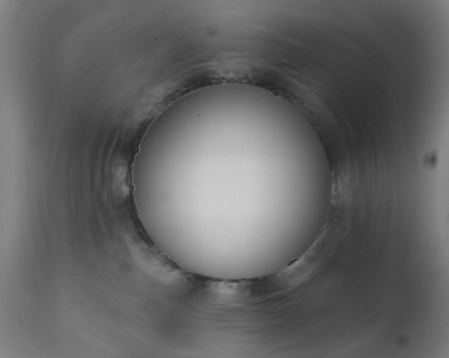 X0000111830187200907301329
