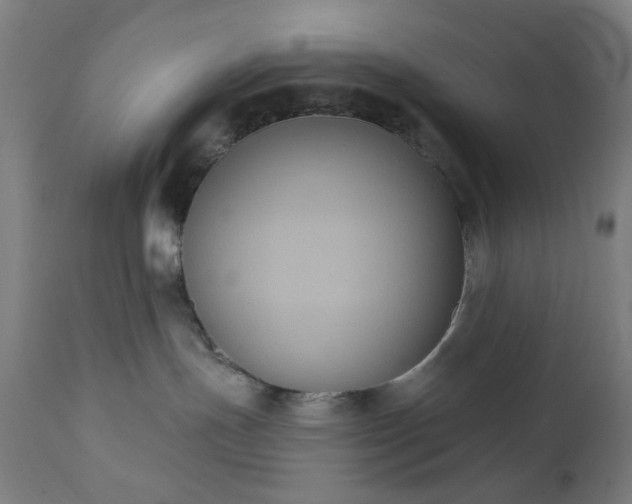 X0000111830191200907301329