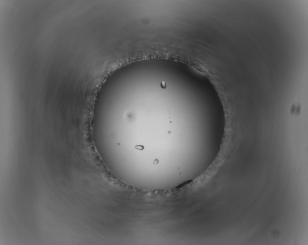 X0000111830192200907301329