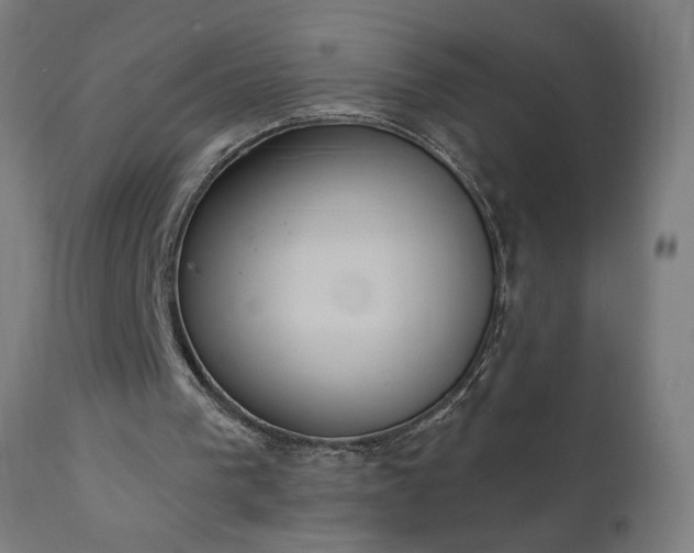 X0000111830193200907301328