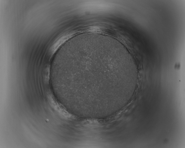 X0000111830194200907301328