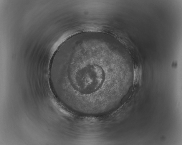 X0000111830195200907301328