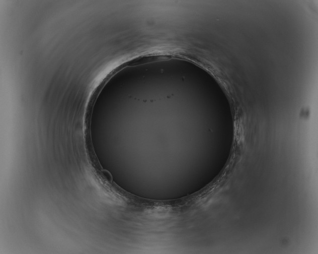 X0000111830196200907301328