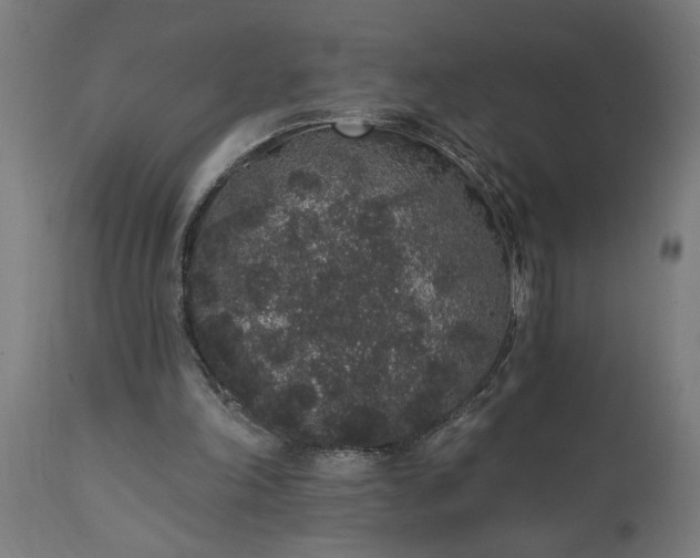 X0000111830198200907301328