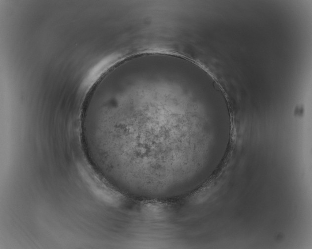 X0000111830199200907301328