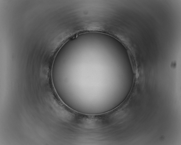X0000111830201200907301328