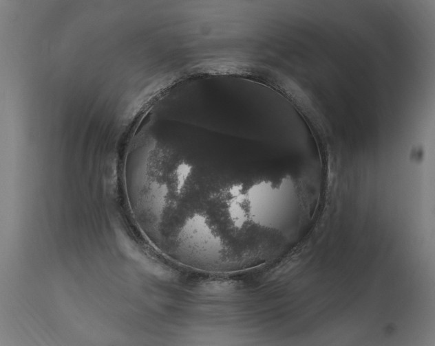 X0000111830202200907301328