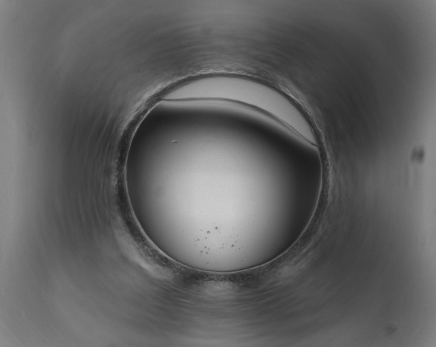 X0000111830203200907301328