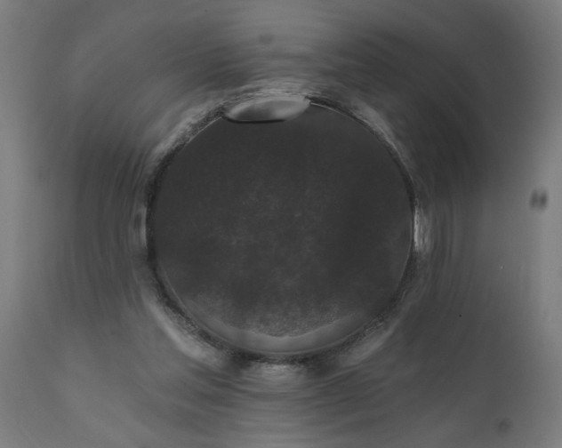 X0000111830205200907301328