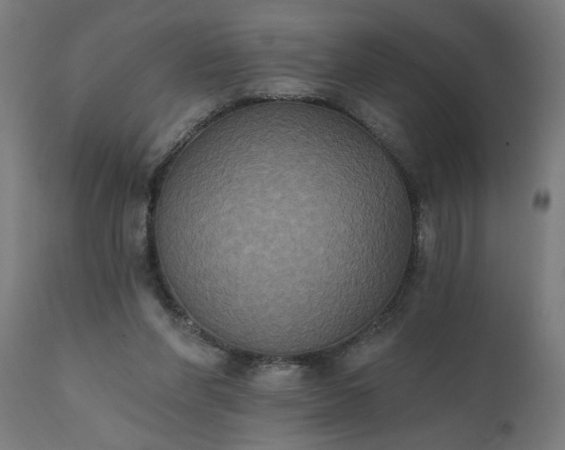 X0000111830206200907301328