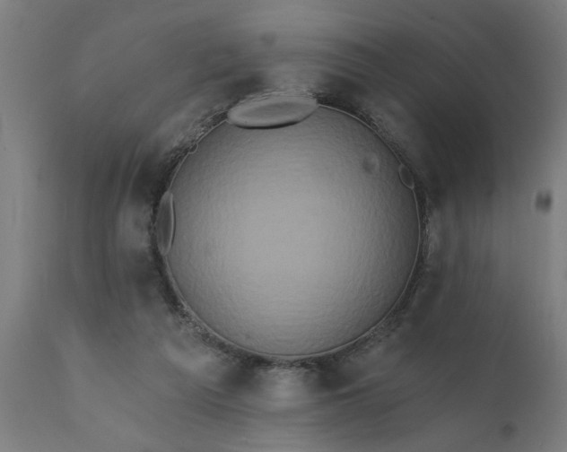 X0000111830209200907301328