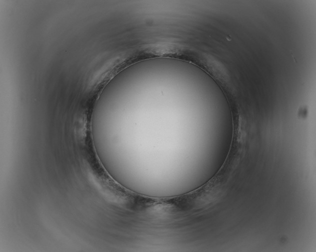 X0000111830210200907301328