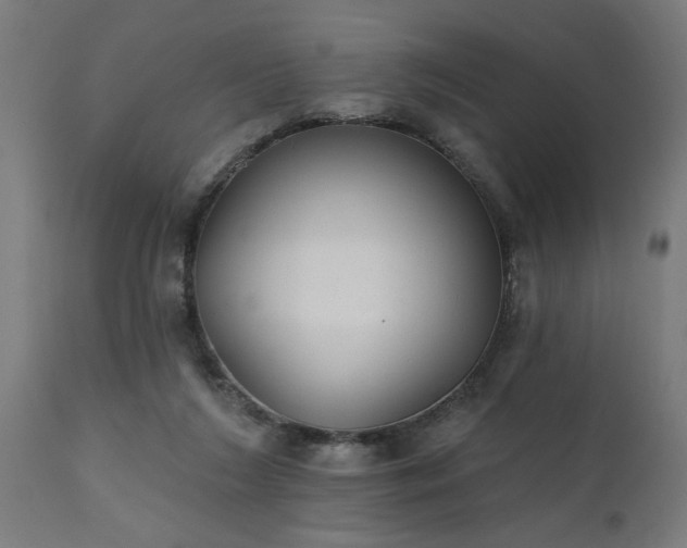 X0000111830212200907301328