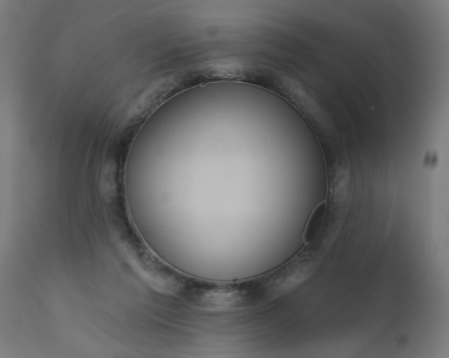 X0000111830213200907301328