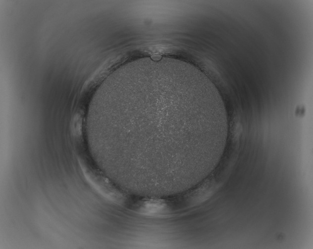 X0000111830214200907301328