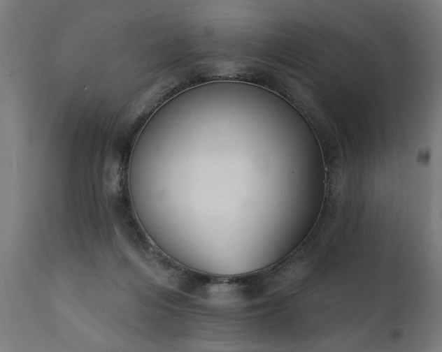X0000111830216200907301328