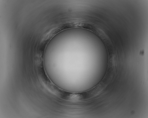 X0000111830218200907301328