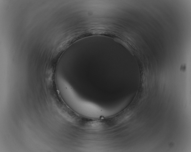 X0000111830219200907301327