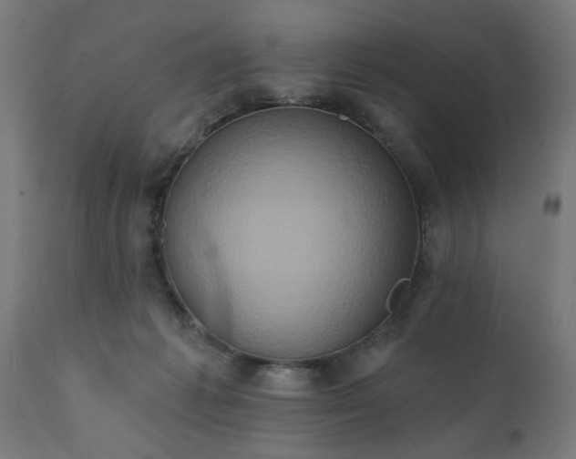 X0000111830221200907301327
