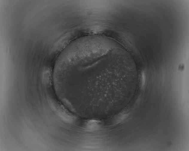X0000111830222200907301327