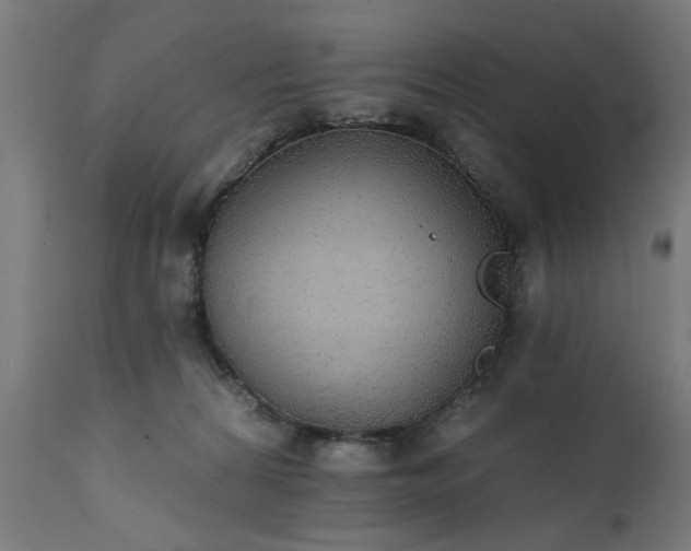 X0000111830224200907301327