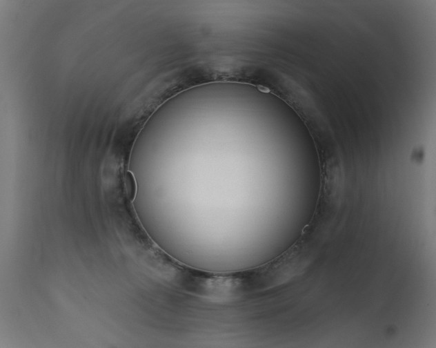 X0000111830225200907301327