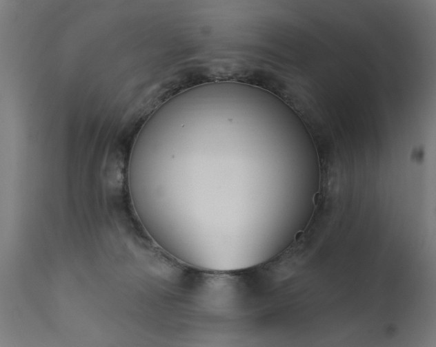 X0000111830226200907301327
