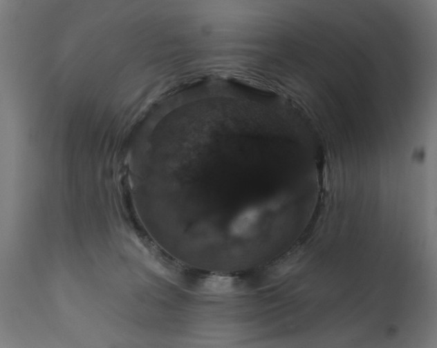 X0000111830227200907301327
