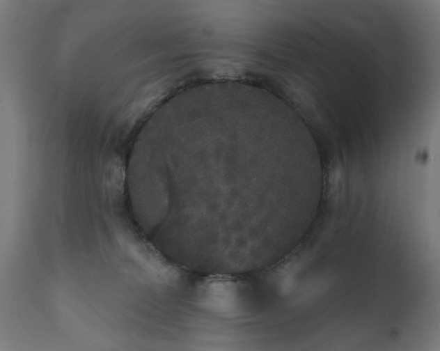 X0000111830228200907301327