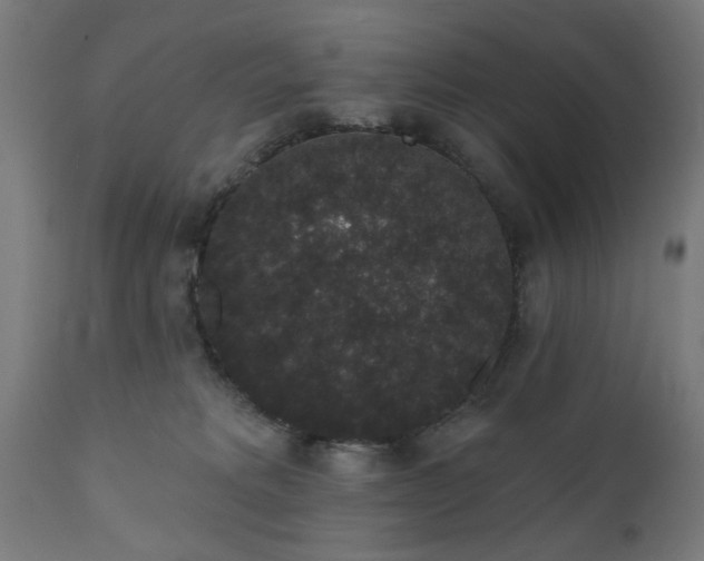 X0000111830229200907301327