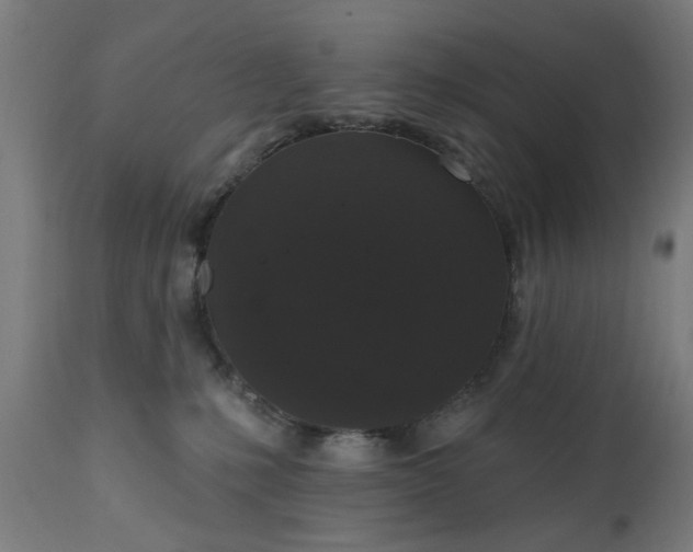 X0000111830231200907301327